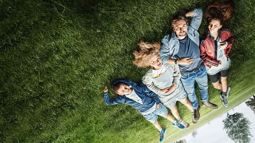 Friedmanns Vier Bild 1