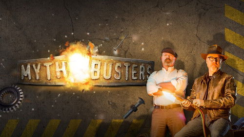 MythBusters - Die Wissensjäger Bild 2