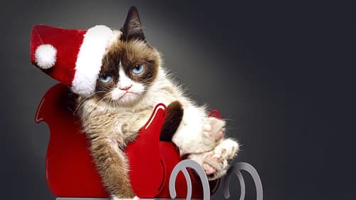 Grumpy Cat's miesestes Weihnachtsfest ever Bild 3