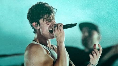 Shawn Mendes: Live in Concert Bild 2