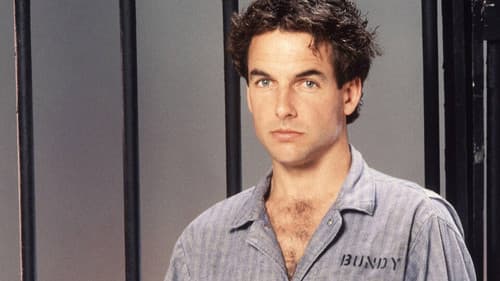 Alptraum des Grauens Bild 3