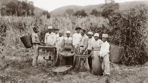 Menschenhandel - Eine kurze Geschichte der Sklaverei Bild 7