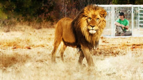 Mann gegen Löwe Bild 2
