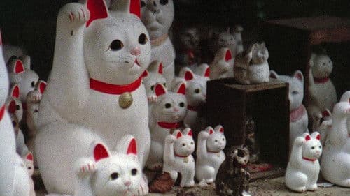 Sans Soleil – Unsichtbare Sonne Bild 5