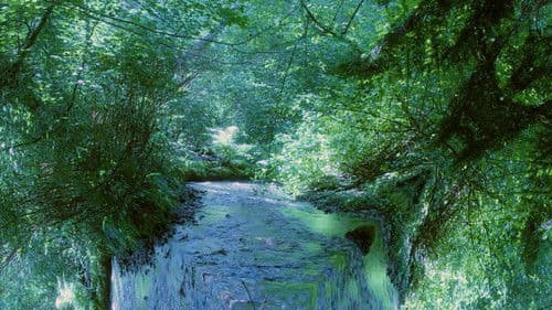 I Watched Her Grow Bild 1