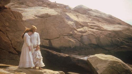 Die Damen aus Boston Bild 2