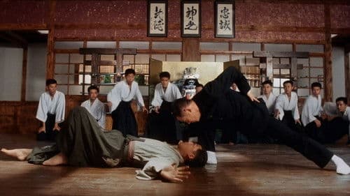 Fist of Legend Bild 6