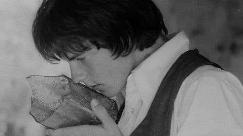 Taking Tiger Mountain Bild 3