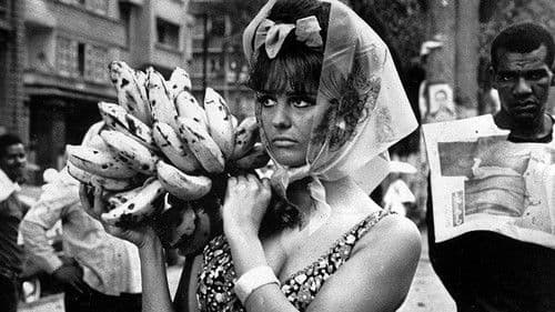 Una rosa per tutti Bild 1