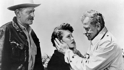 The Amazing Transparent Man Bild 7