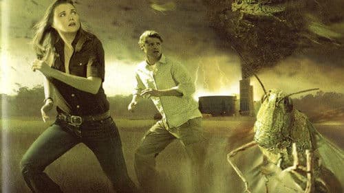 Todesschwarm - Heuschrecken greifen an Bild 1