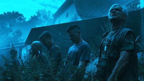 Úhoři mají nabito Bild 6