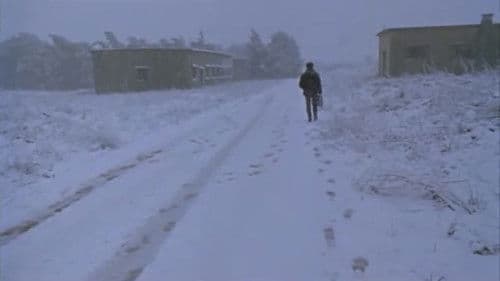 Made in Israel Bild 4