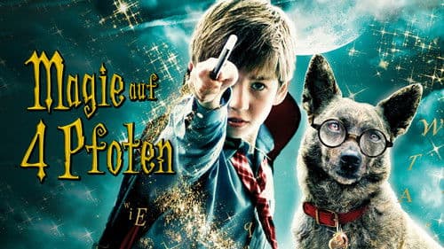 Magie auf 4 Pfoten Bild 3