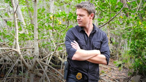 The Glades Bild 8