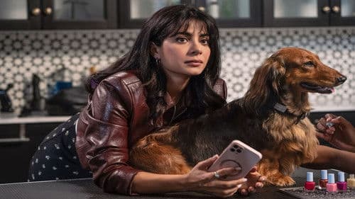 Paws in the City Bild 2