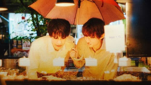 （LOVE SONG） Bild 7