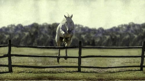 Harry & Snowman Bild 1