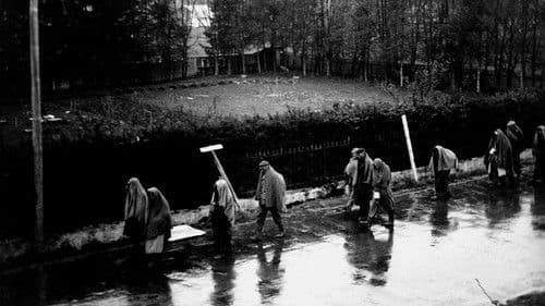 Vernichtung im Laufschritt – Todesmärsche 1944/​45 Bild 3