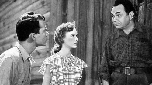 Das Rote Haus Bild 2