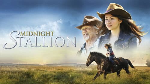 Midnight Stallion - Der König der Pferde Bild 3