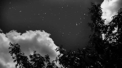 It's Such a Beautiful Day Bild 4