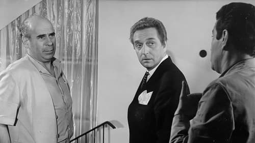 Kochajmy syrenki Bild 8