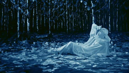 Rabbit's Moon Bild 5