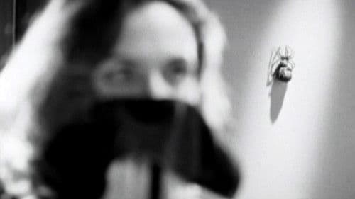 Larger than Life Bild 2