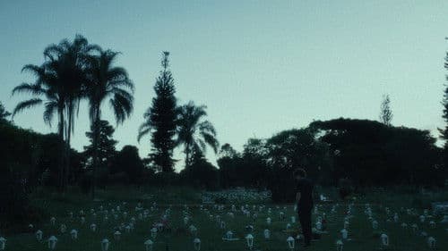 Lágrimas Holandesas Bild 1