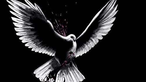 Love Point Blank Bild 1