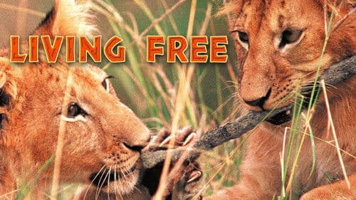 Drei Strolche in der Wildnis Bild 4