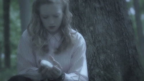 Wings of the Wind Bild 2