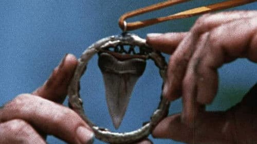 Mako, die Bestie Bild 8