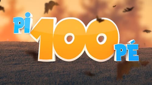 Pi100Pé Bild 1