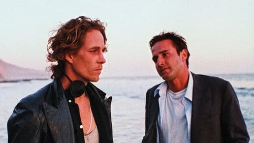 Dream with the Fishes Bild 4