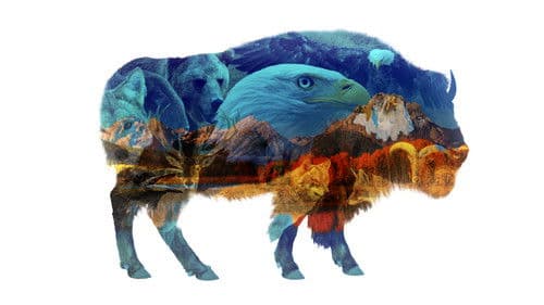 Das schöne Amerika Bild 5