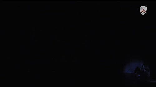 Pandora's Paradox Bild 1