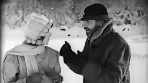 The Sky Pilot Bild 5