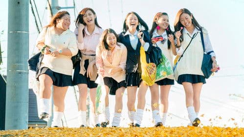 SUNNY 強い気持ち・強い愛 Bild 1