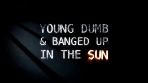 Young Dumb and Banged Up in the Sun Bild 1