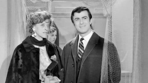 Κυνηγημένη προσφυγοπούλα Bild 6