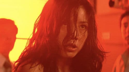 天使のはらわた　名美 Bild 5