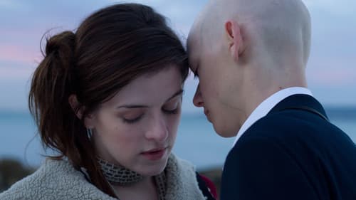 Am Ende eines viel zu kurzen Tages Bild 4