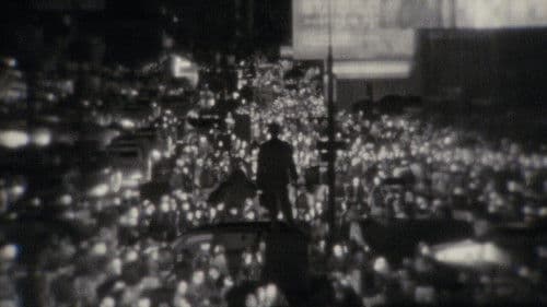 like moths to light Bild 1