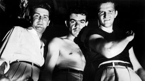 Mad at the World Bild 4