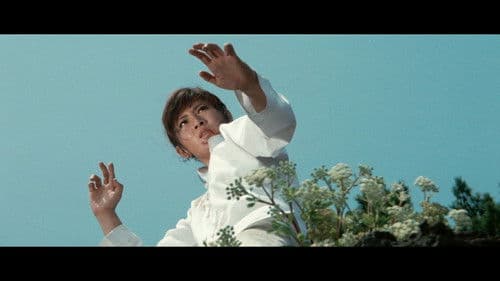 Die Karate-Tiger Bild 8