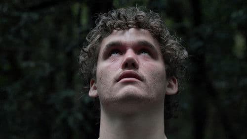 Forget Me Not Bild 4