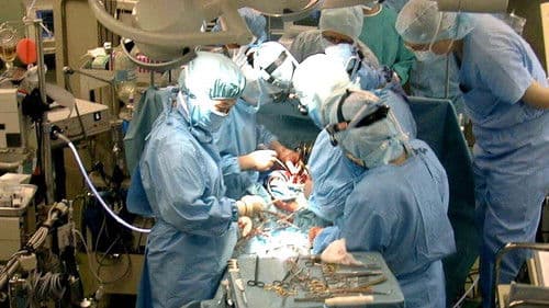 Der Streit um den Hirntod – Organspende auf dem Prüfstand Bild 1