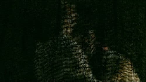 সত্যান্বেষী Bild 5